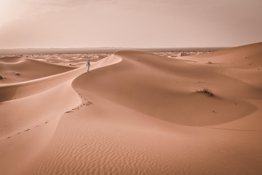 Sahara Desert Third Largest Overall and First Largest Hot Desert In The World