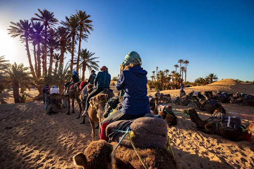 Sahara Population Of 2.5 Million Residing, People