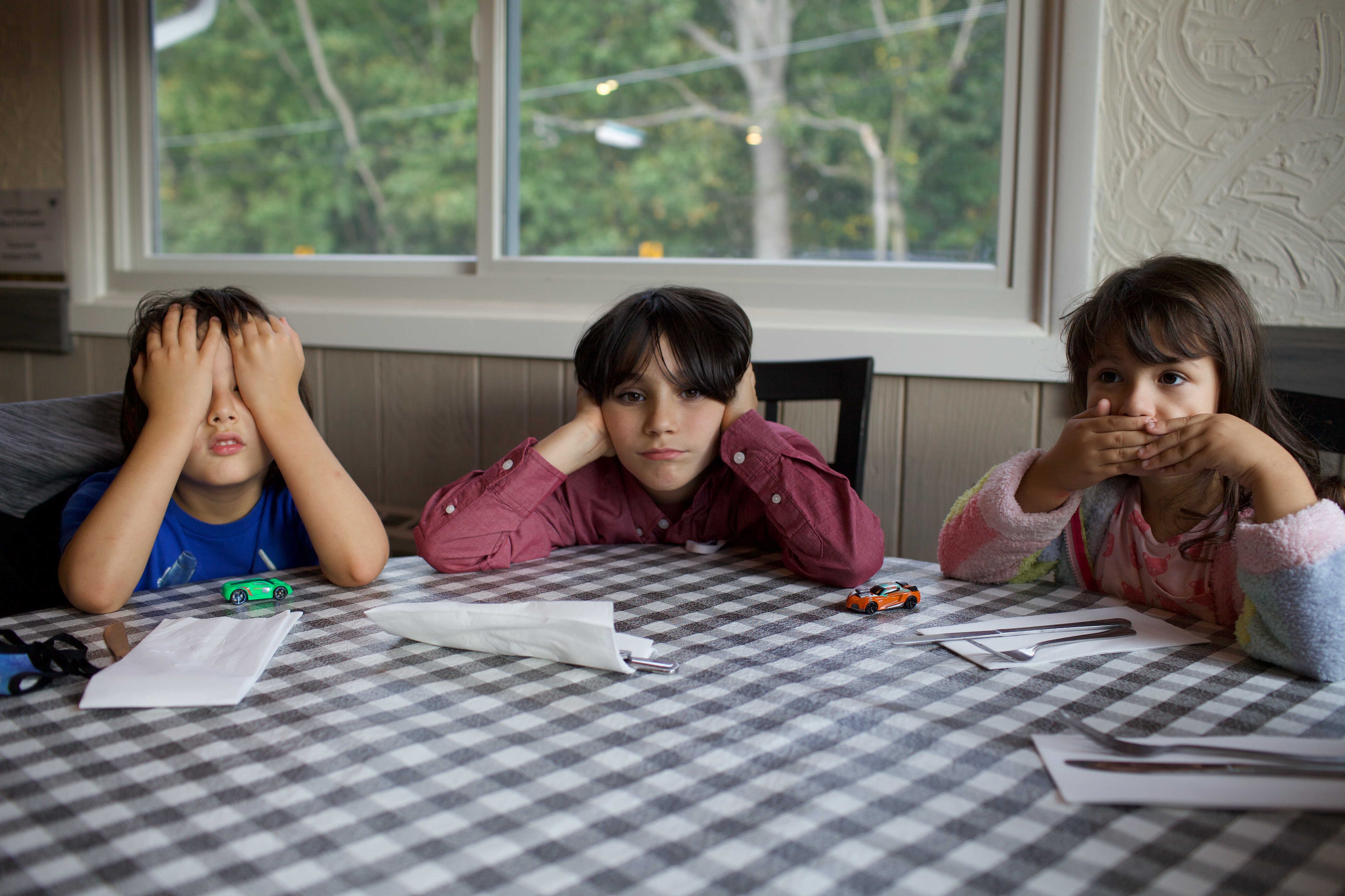Negative Parenting Little or Too Much Discipline