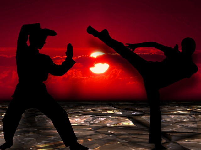 Kung Fu (Chinese Culture)