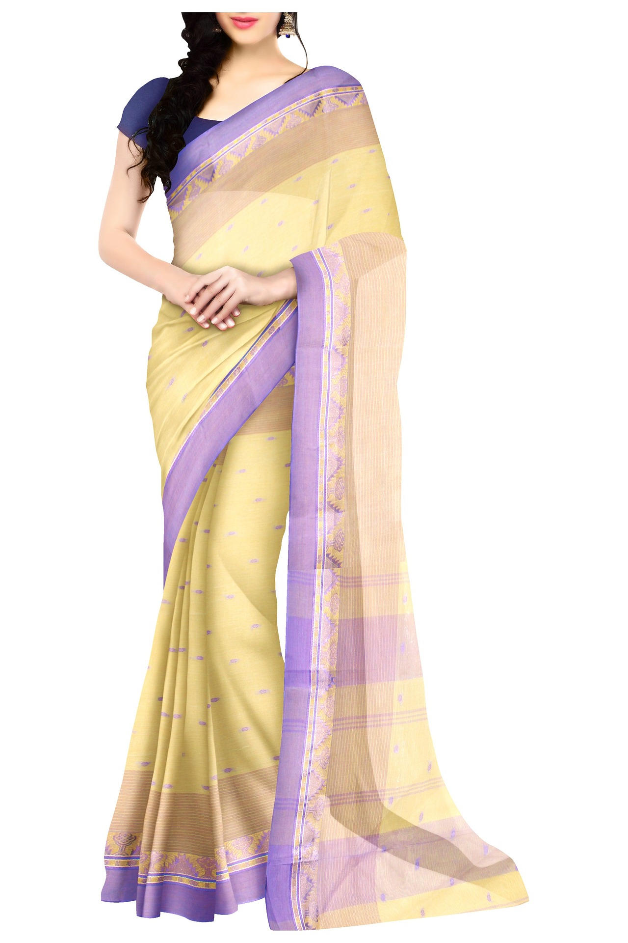 An Indian Saree - Left side drape (pallu)