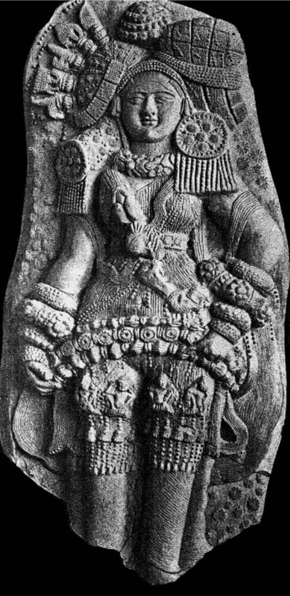 The Indus valley civilization