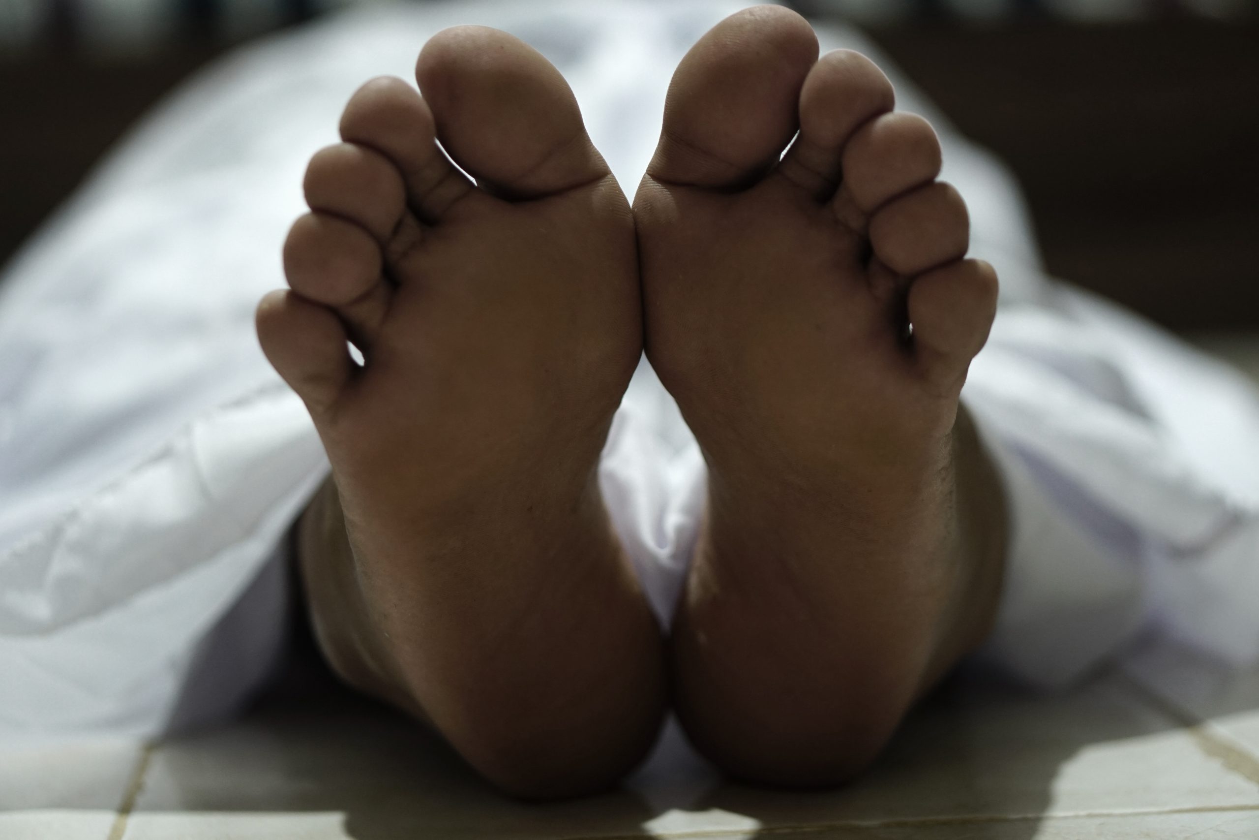 How do human organs behave after death?