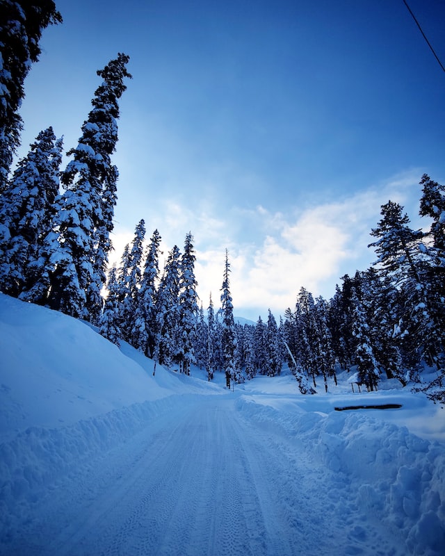 Top 5 hill stations in India to visit this winter