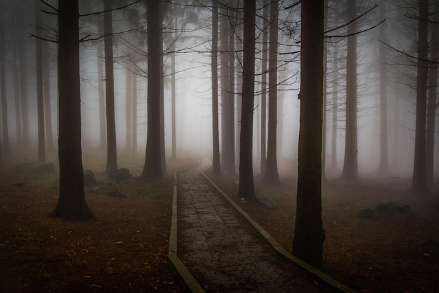 Why are people afraid of the darkness?
