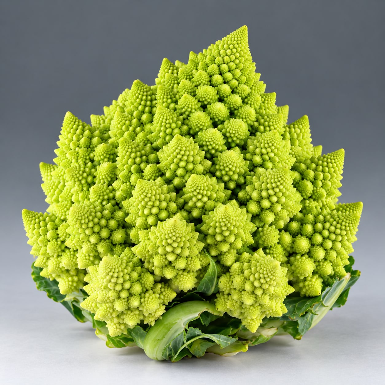 A head of romanesco broccoli built from spiralling cones, each cone made of smaller cones