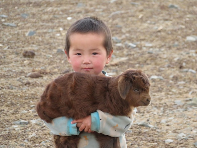 Why Mongols Love Their Animals So Much?