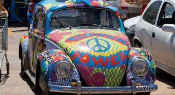 What and Why of Hippie Culture.