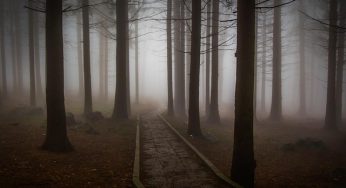 Why are people afraid of the darkness?