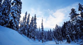 Top 5 hill stations in India to visit this winter