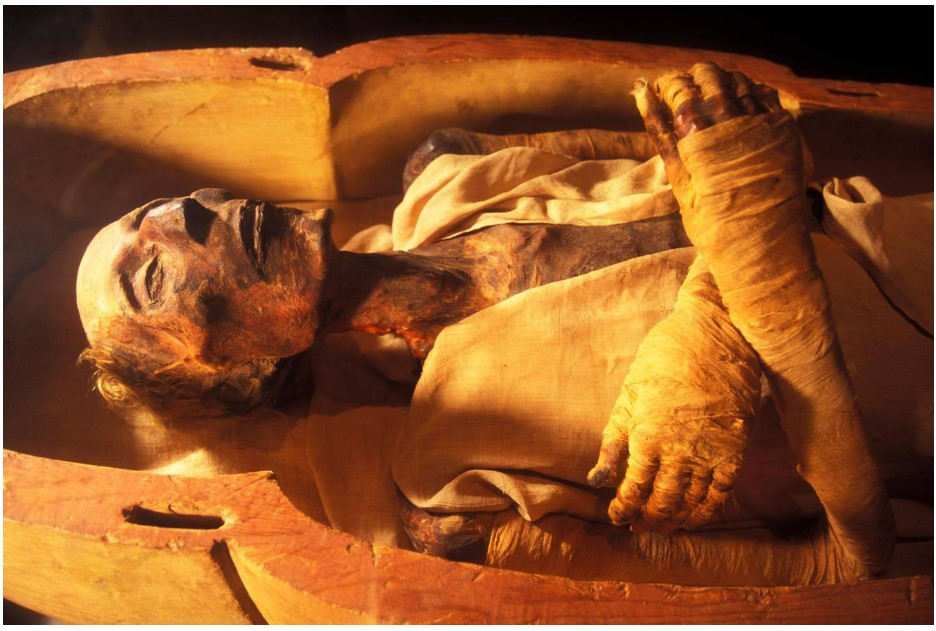 Mummified body of Ramesses II