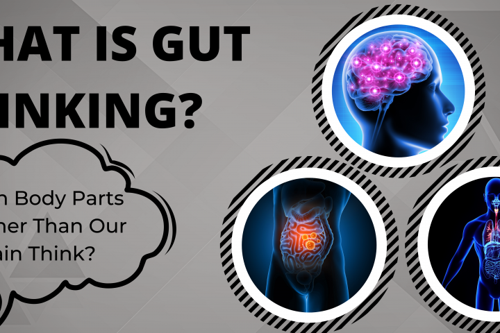What is Gut Thinking?