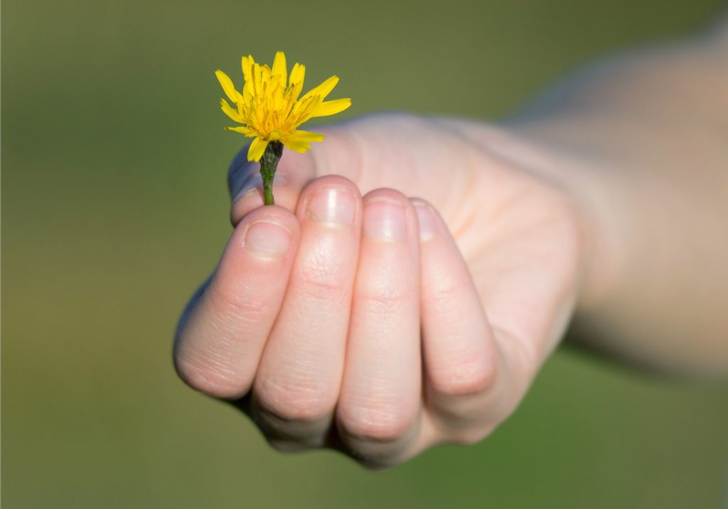 Gratitude for mindfulness