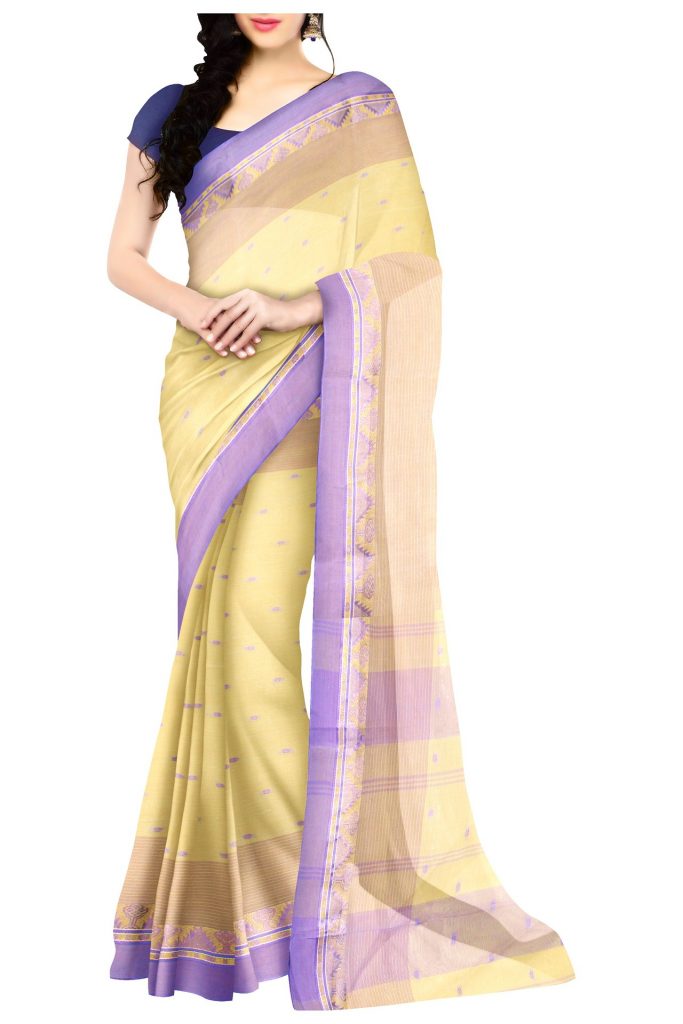 An Indian Saree - Left side drape (pallu)