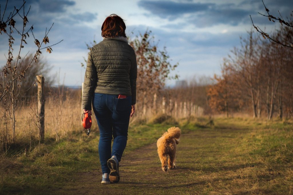 Mindful Walks