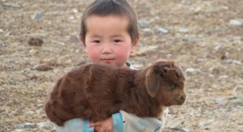 Why Mongols Love Their Animals So Much?