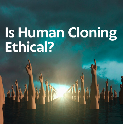 is human cloning ethical essay