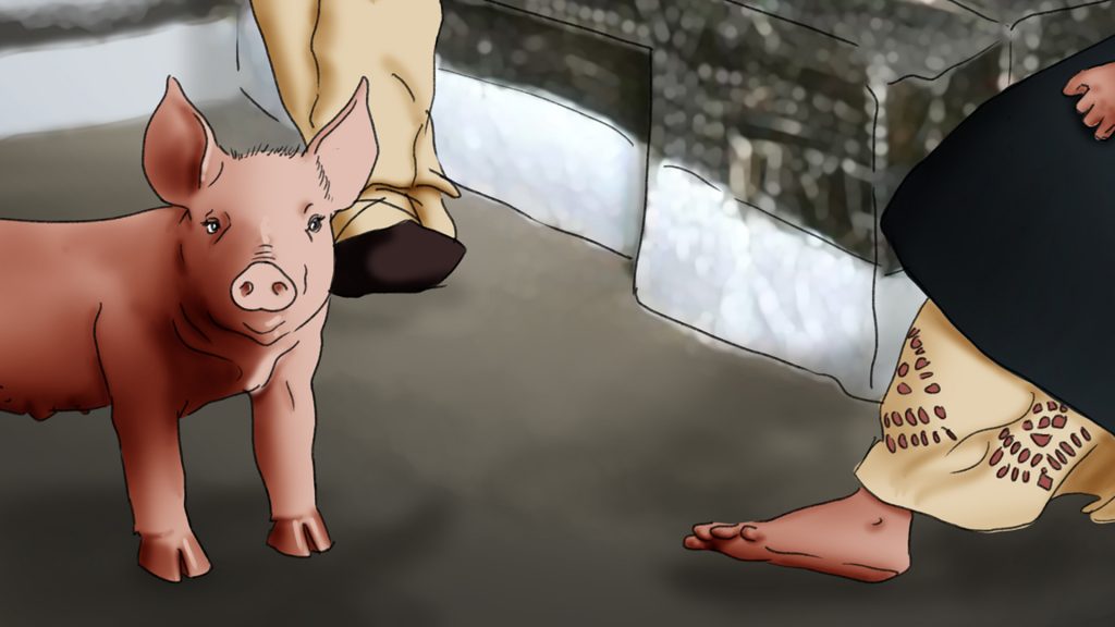 The piglet son