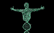 humans habits are from DNA or environment